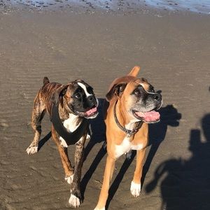 Meet your Posher, Heather